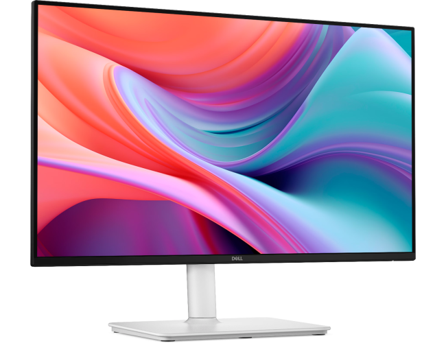 Dell 24 inch Monitor